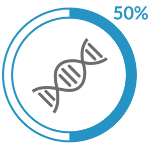 Genetic code with 50% value