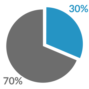 Pie chart representing 30 / 70 split