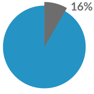 Pie chart 16%