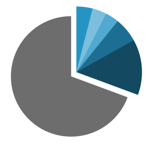 Pie chart showing diverse distribution of population